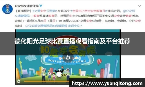 德化阳光足球比赛直播观看指南及平台推荐