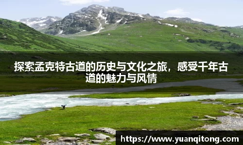 球速体育