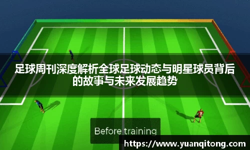 球速体育