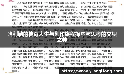 球速体育app