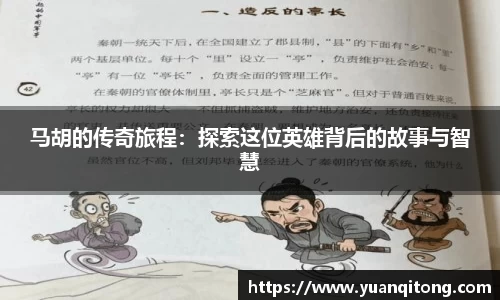球速体育app