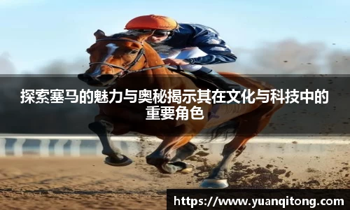 探索塞马的魅力与奥秘揭示其在文化与科技中的重要角色